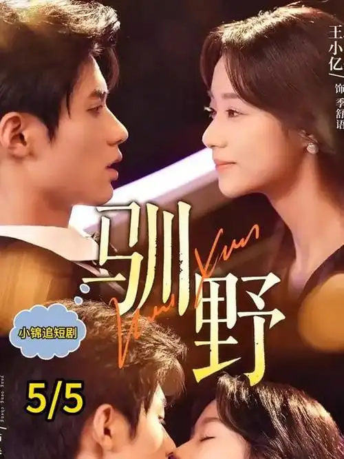 一封未寄出的简历